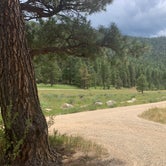 Review photo of Comales Campground by Steve & Ashley  G., August 26, 2019
