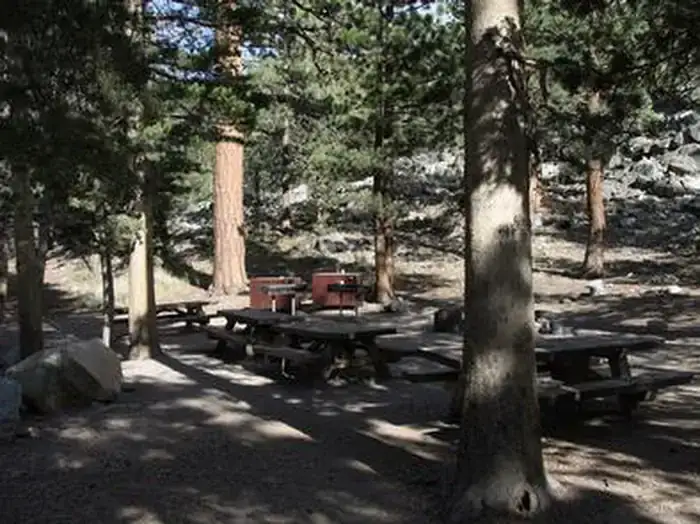 Camper-submitted photo at Green Creek Group near Bridgeport, CA