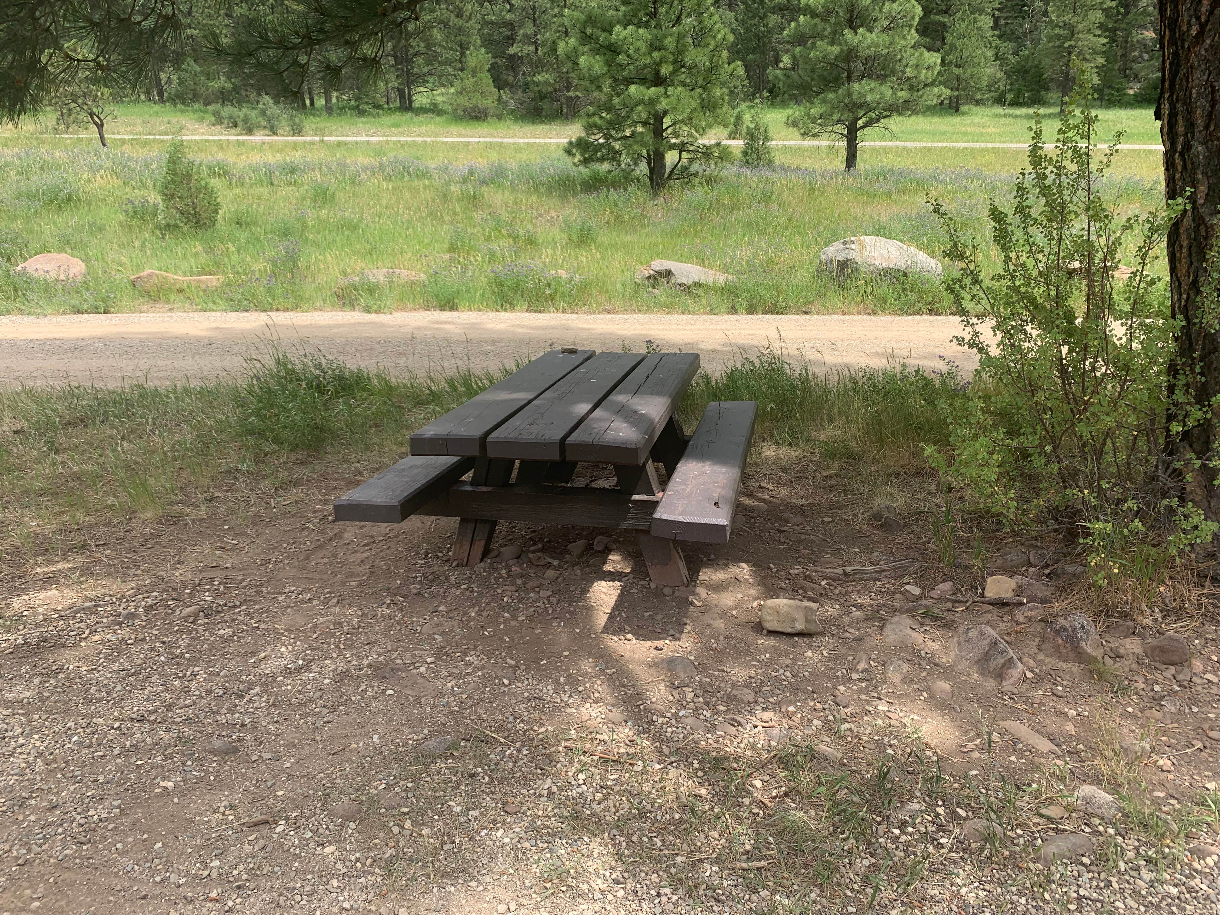 Camper submitted image from Comales Campground - 5