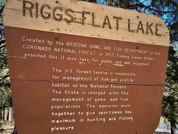 Camper submitted image from Riggs Lake — Coronado National Forest - 1