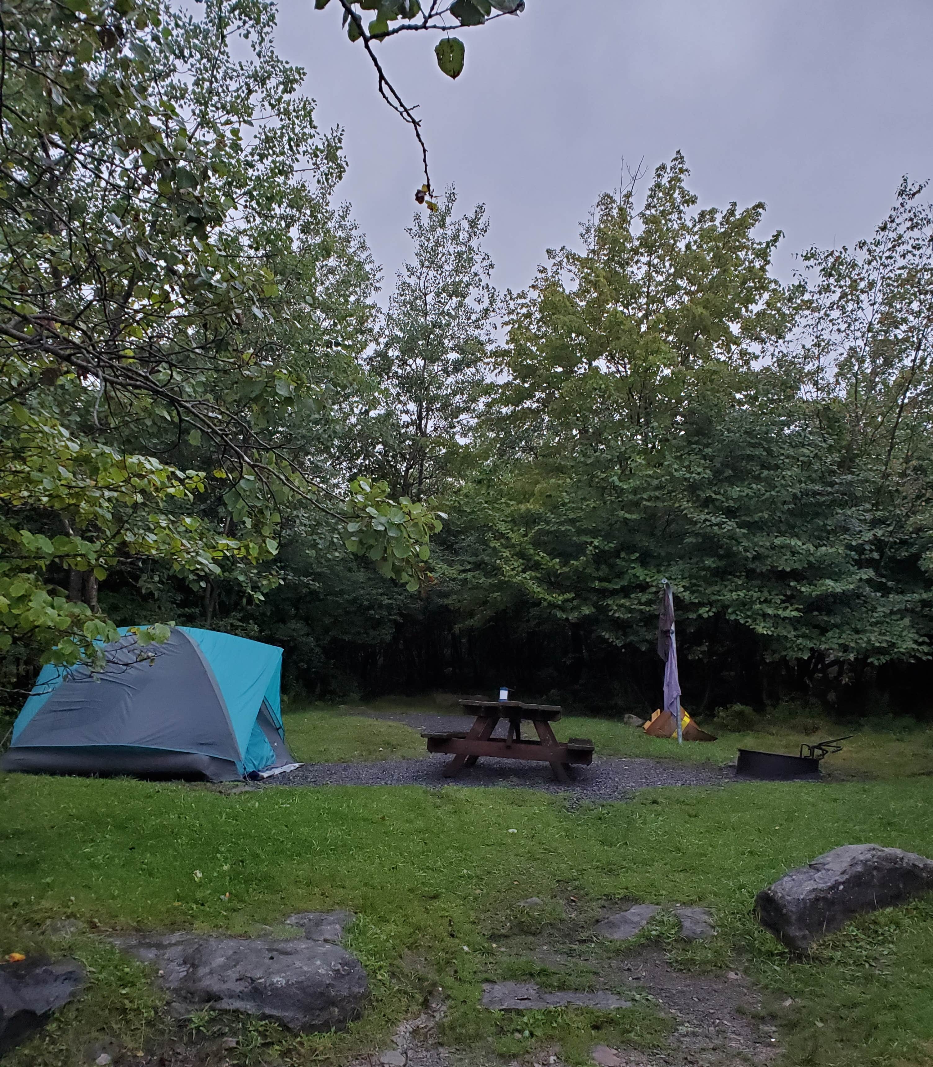 Tracy S.'s photo at Red Creek Campground near Parsons, WV