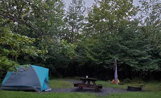 Tracy S.'s photo at Red Creek Campground near Thomas, WV