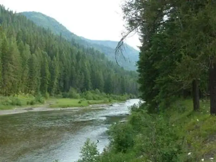 Camper-submitted photo at Bull River Pavilion near Heron, MT