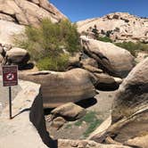 Review photo of Hidden Valley Campground — Joshua Tree National Park by Justin B., August 26, 2019