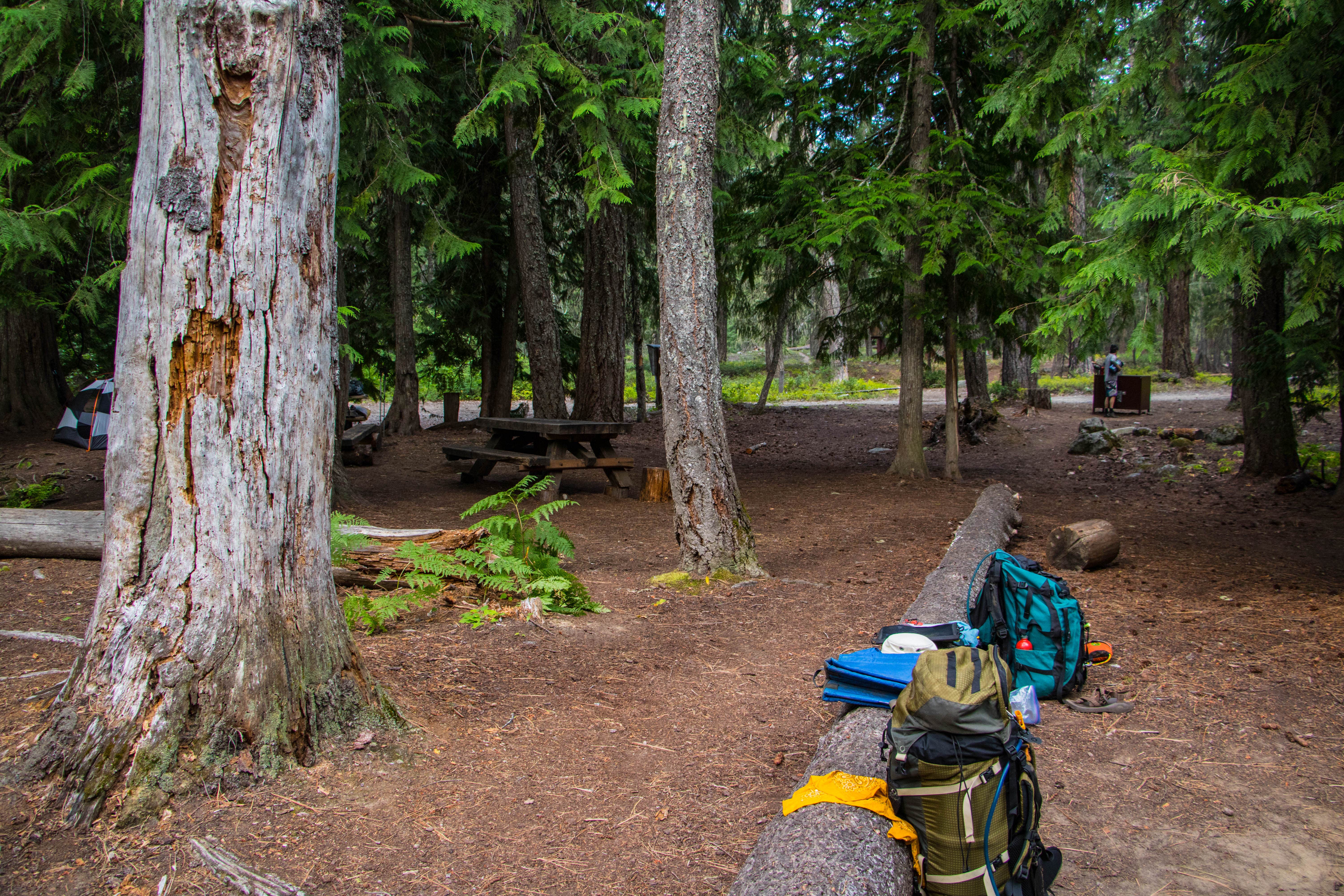 Camper submitted image from Bridge Creek Campground - 3