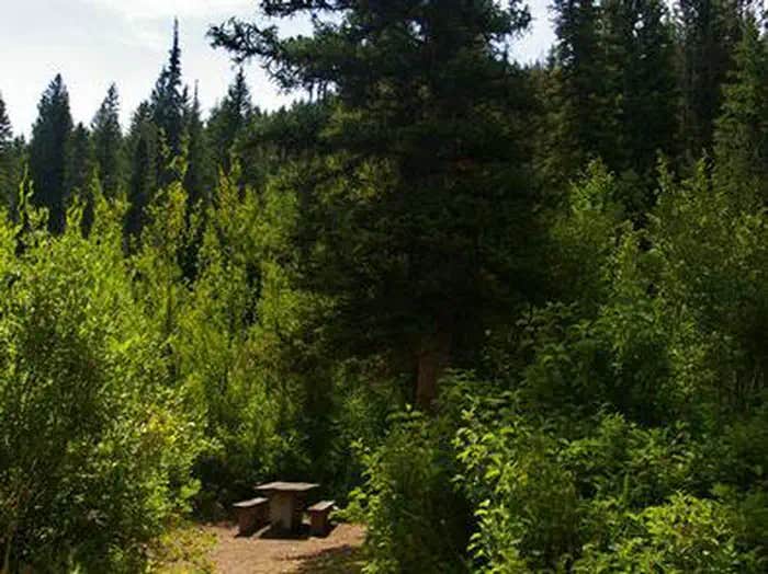 Camper submitted image from Paris Springs Campground - 1