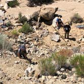 Review photo of Hidden Valley Campground — Joshua Tree National Park by Justin B., August 26, 2019