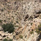 Review photo of Hidden Valley Campground — Joshua Tree National Park by Justin B., August 26, 2019