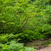 Review photo of Bridge Creek Campground by Shari  G., September 27, 2016
