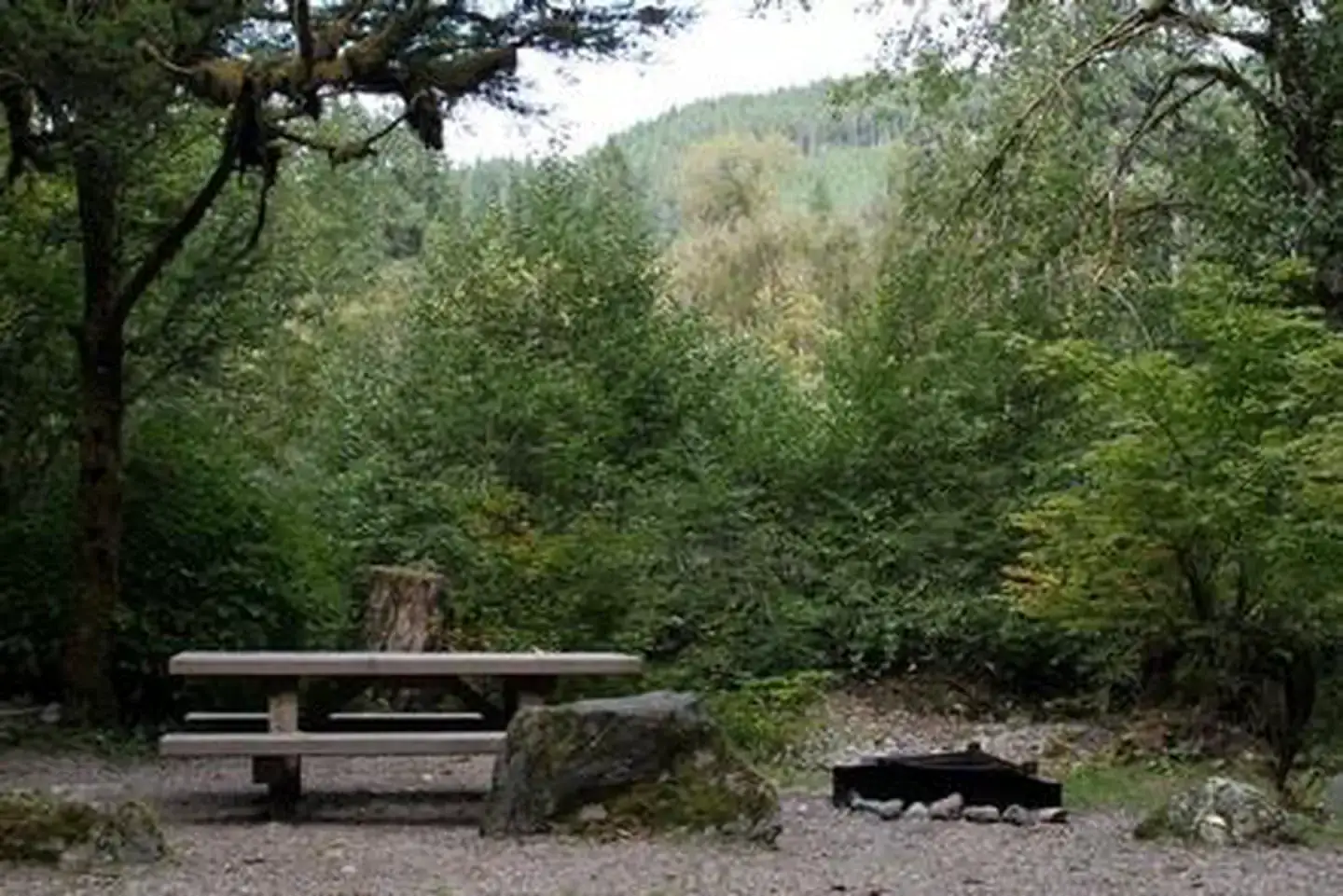 Camper-submitted photo at Clear Creek Campground near Index, WA