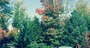 Country Bumpkins Campground and Cabins