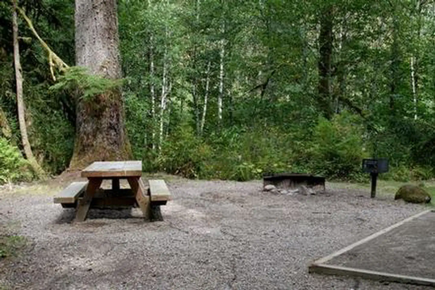 Camper-submitted photo at Clear Creek Campground near Index, WA