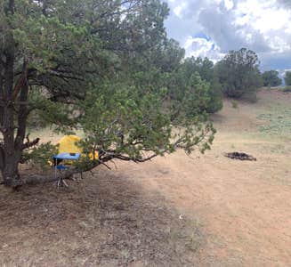 Camper-submitted photo from Cascade (colorado)