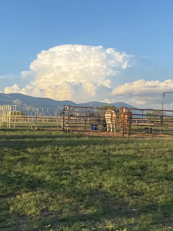 Camping near Moonflower Meadows RV Resort: Rob Jagger's Campground — Fort Stanton Snowy River Cave National Conservation Area, Capitan, New Mexico