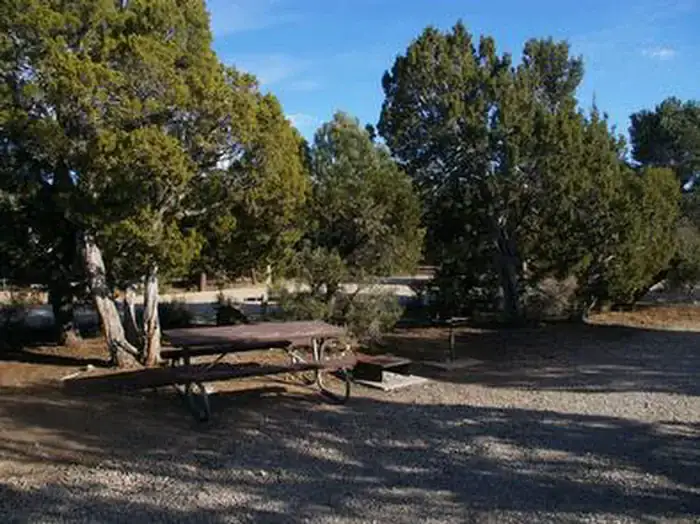 Camper-submitted photo at Ward Mtn. Campground (murray Summit) near Ruth, NV