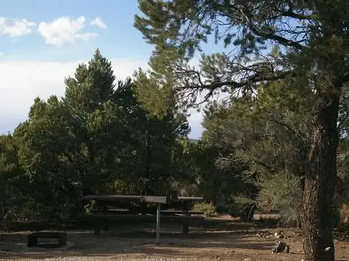 Camper-submitted photo at Ward Mtn. Campground (murray Summit) near Ruth, NV