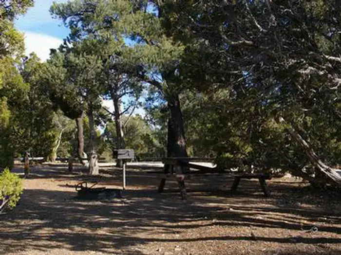 Camper-submitted photo at Ward Mtn. Campground (murray Summit) near Ruth, NV