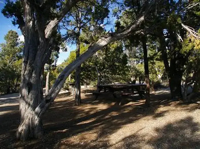 Camper-submitted photo at Ward Mtn. Campground (murray Summit) near Ruth, NV