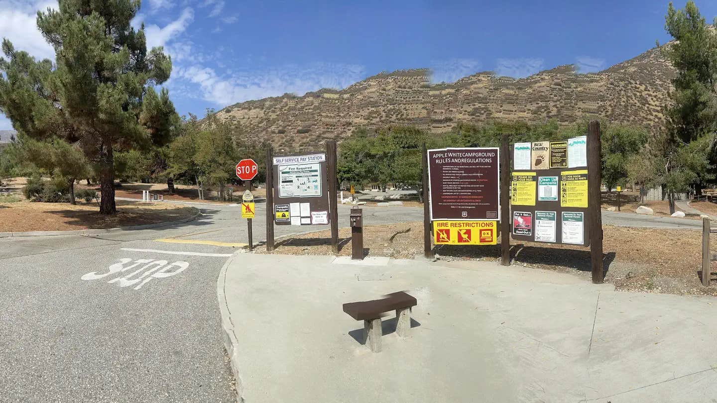 Camper submitted image from Applewhite Campground (Ca) — San Bernardino National Forest - 1