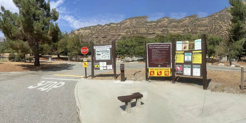 Camper submitted image from Applewhite Campground (Ca) — San Bernardino National Forest