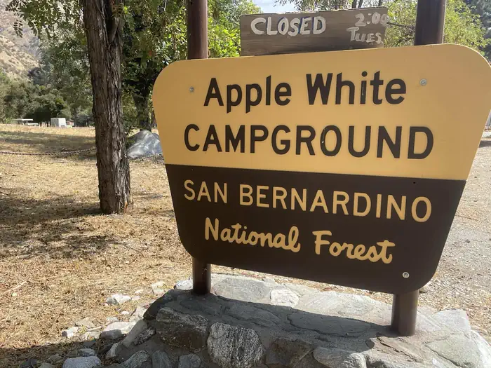 Camper-submitted photo at Applewhite Campground (Ca) — San Bernardino National Forest near Mount Baldy, CA
