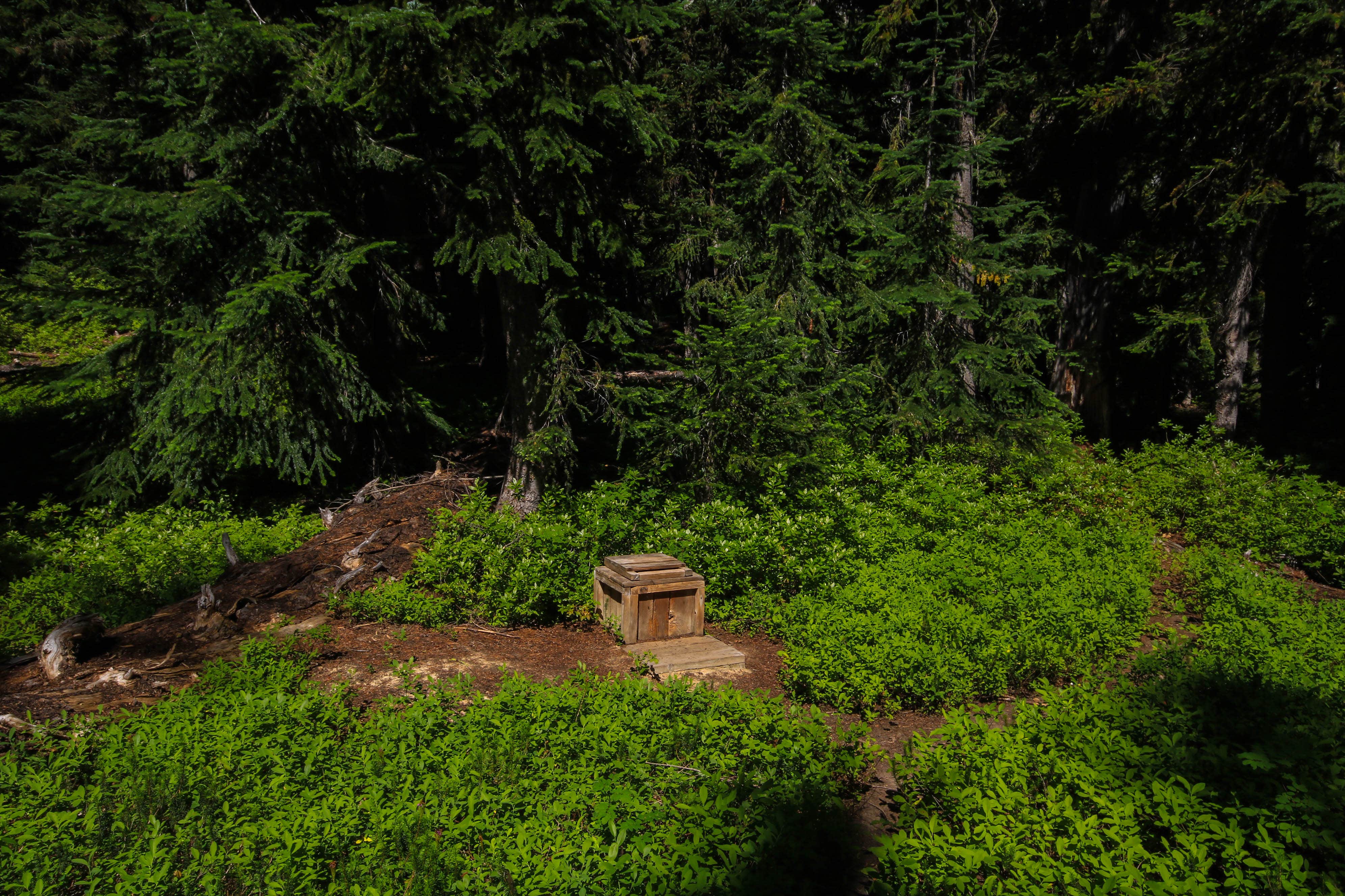 Camper-submitted photo at Rainbow Lake Campground — Lake Chelan National Recreation Area near Stehekin, WA