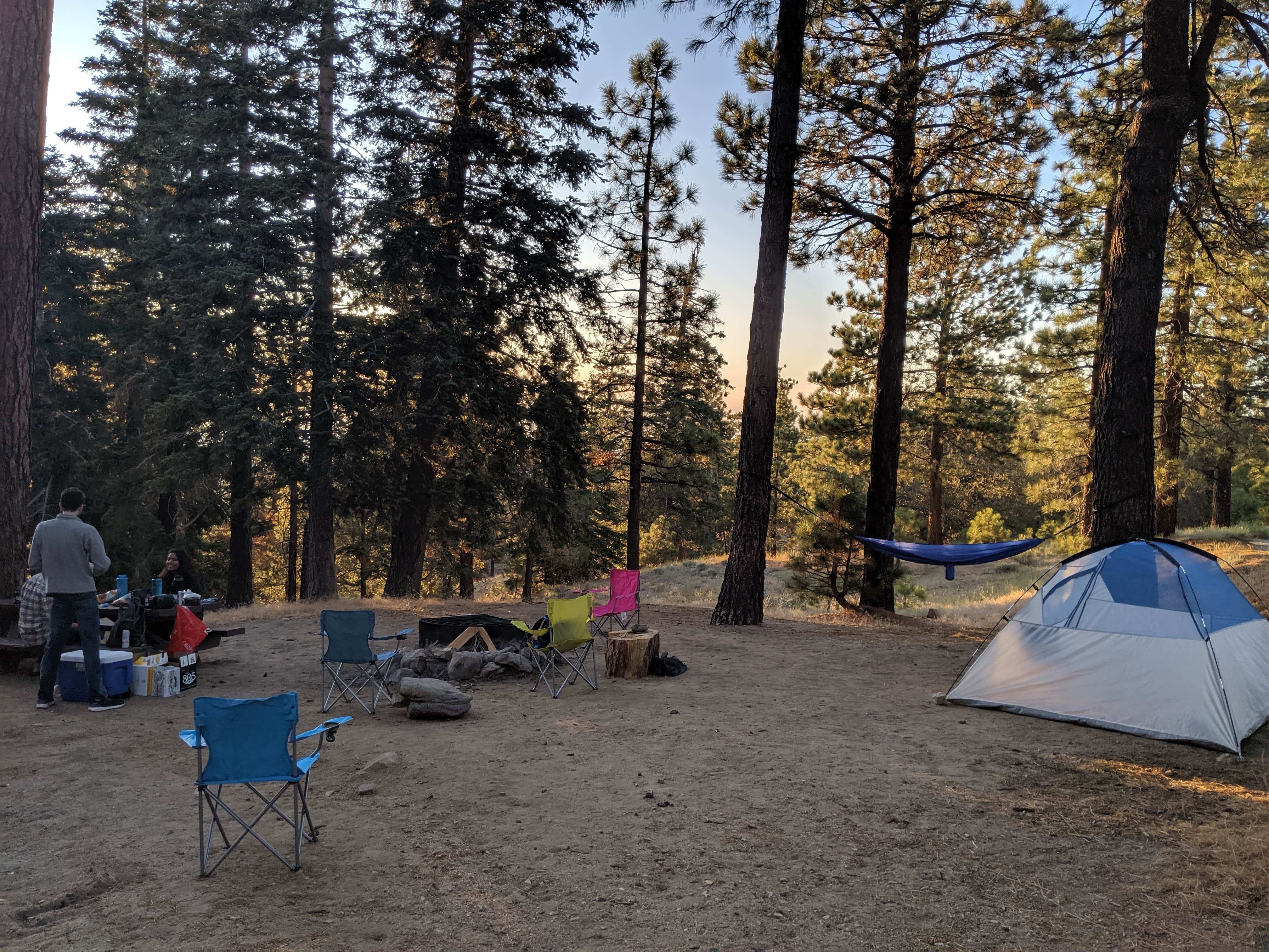 Megan S.'s photo at Table Mountain Campground near Valyermo, CA