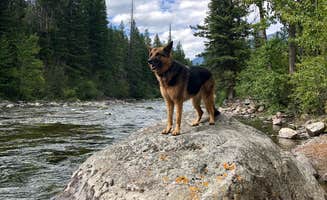 Thomas F.'s photo of camping with pets at Chippy Park near Melville, MT