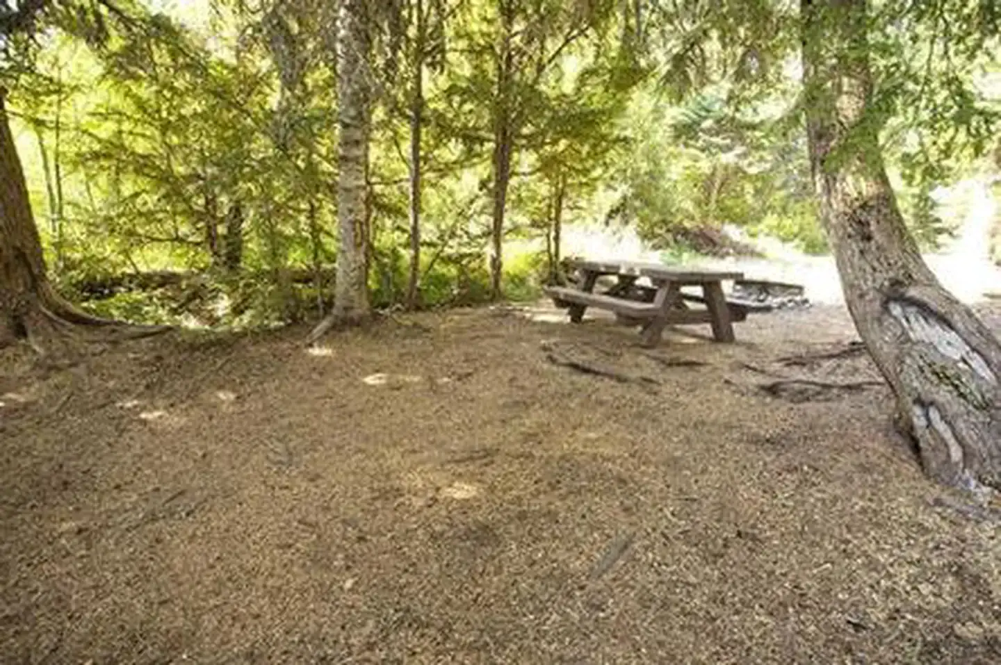 Camping near Shadow Bay: Princess Creek Campground, Crescent, Oregon