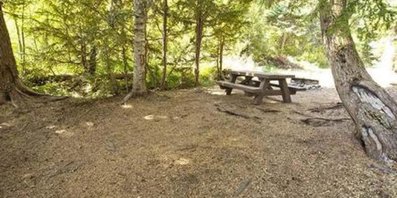 Camper submitted image from Princess Creek Campground