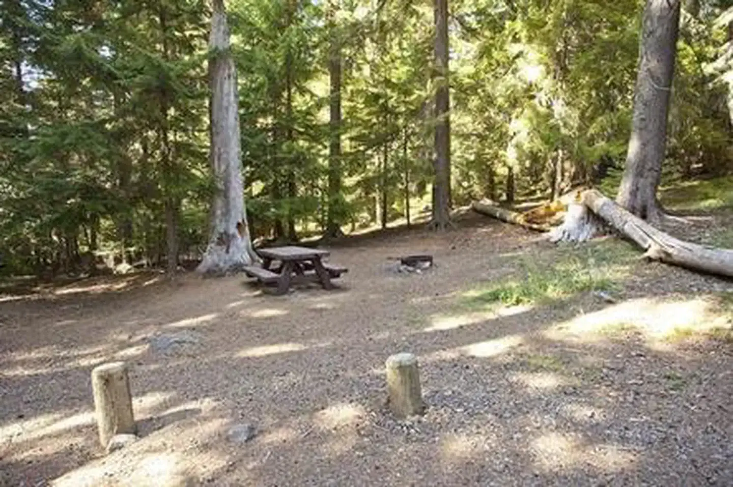 Camper-submitted photo at Princess Creek Campground near Crescent, OR