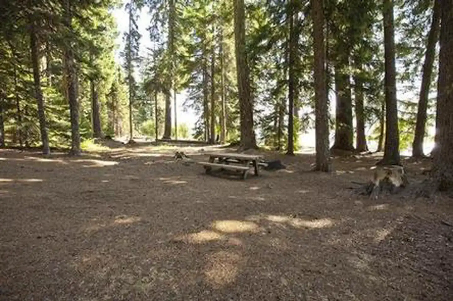 Camper-submitted photo at Princess Creek Campground near Crescent, OR