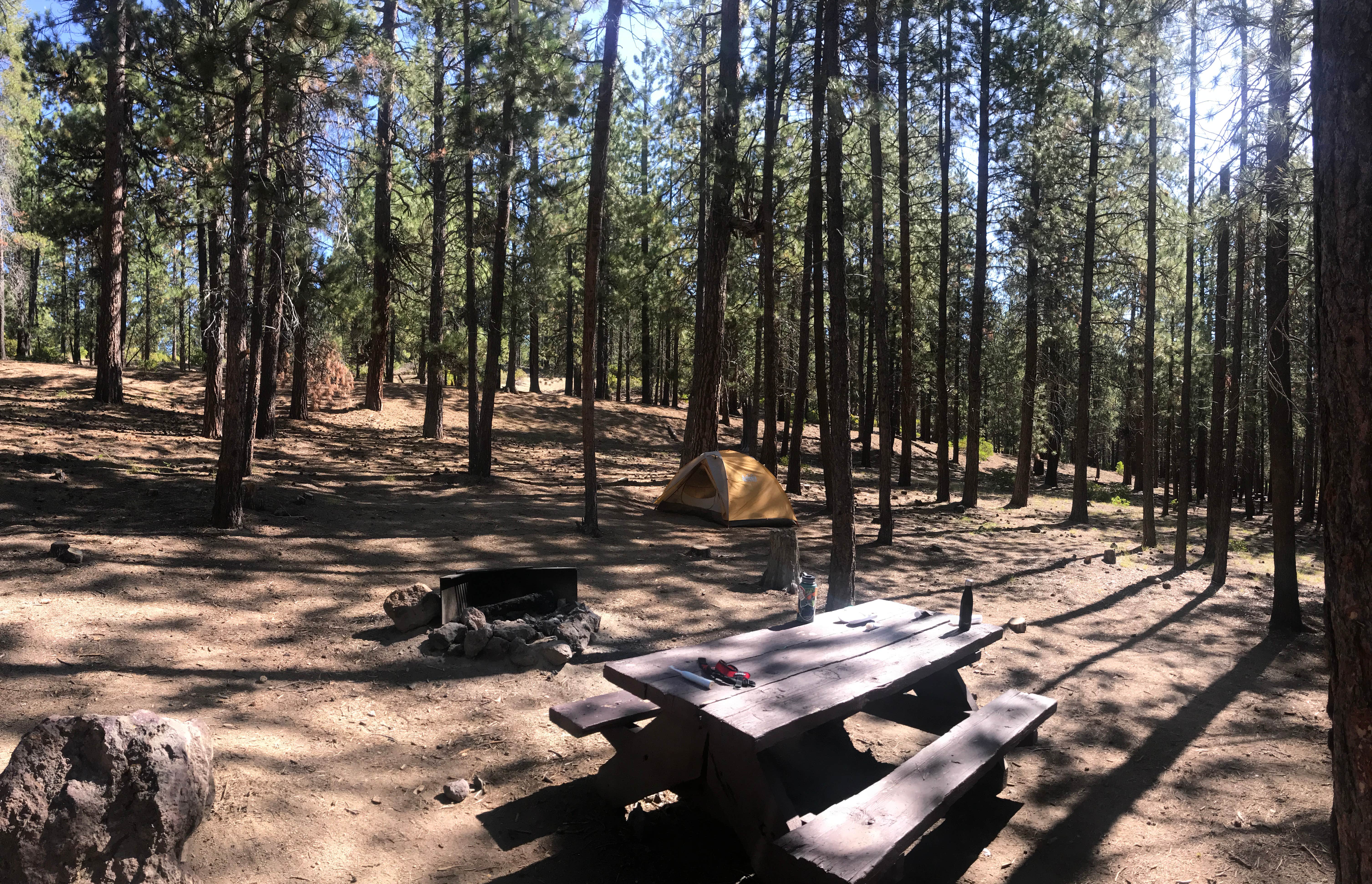 Audrey M.'s photo at Mckay Crossing Campground near La Pine, OR