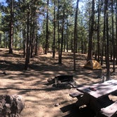Review photo of Mckay Crossing Campground by Audrey M., August 27, 2019