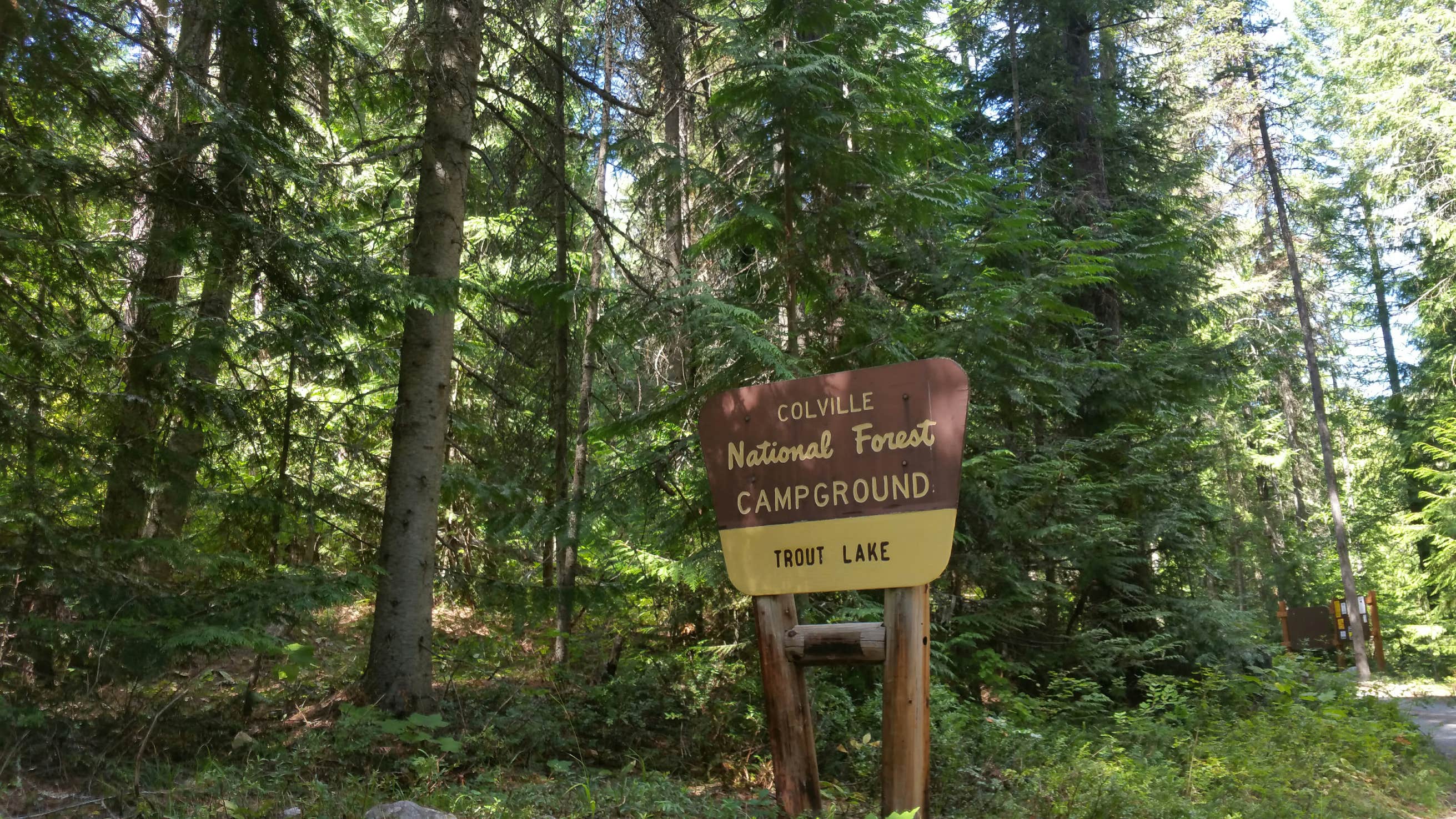 Trout Lake Campground | The Dyrt