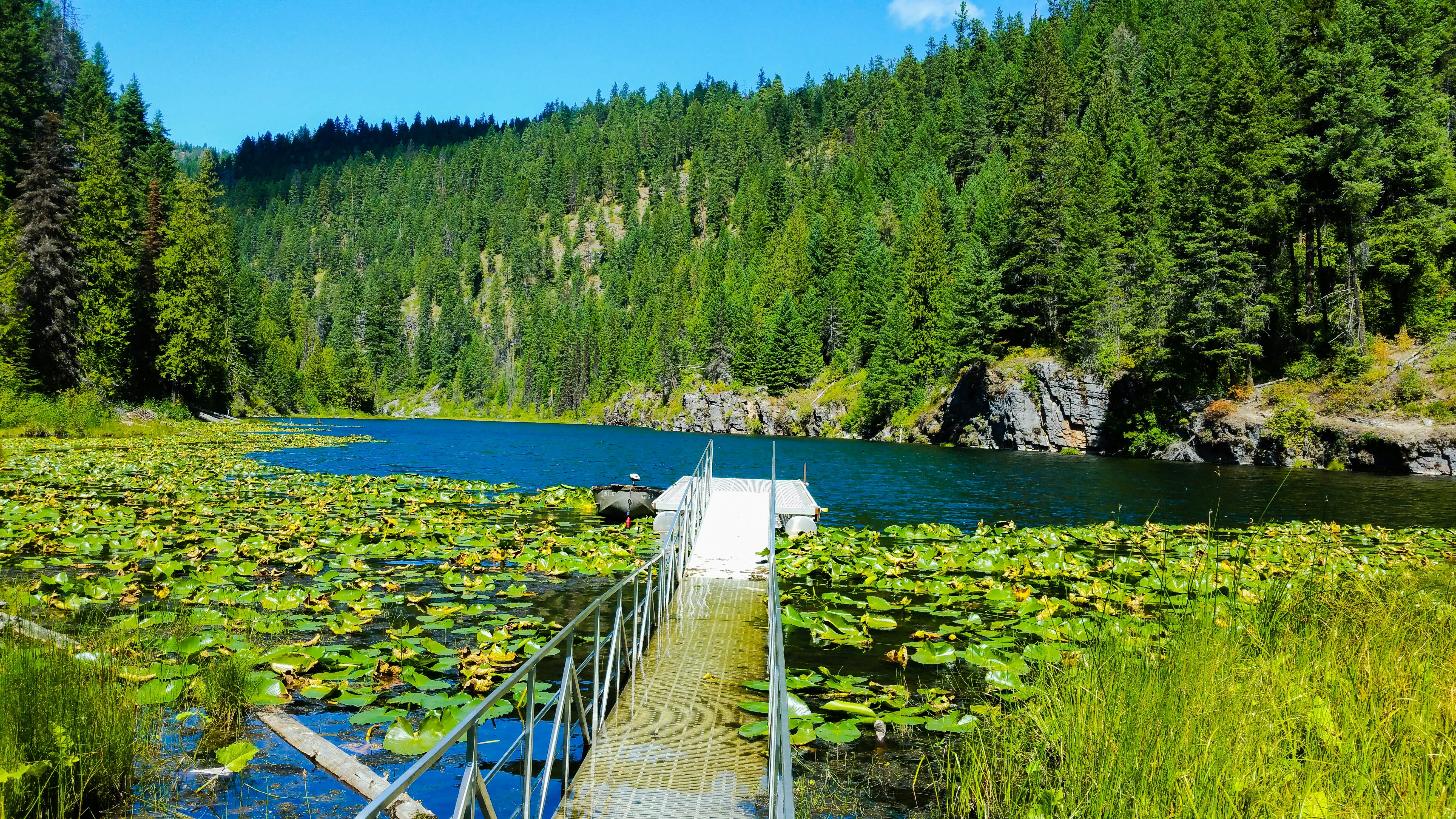 Camper submitted image from Trout Lake Campground - 3