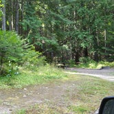 Review photo of Trout Lake Campground by Andrea R., August 27, 2019