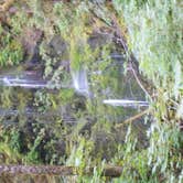 Review photo of Falls Creek Campground by Tom K., September 27, 2016
