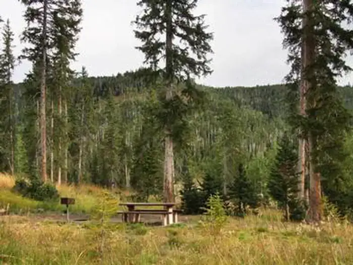 Camper-submitted photo at Flat Canyon near Fairview, UT