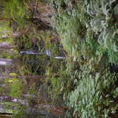 Review photo of Falls Creek Campground by Tom K., September 27, 2016