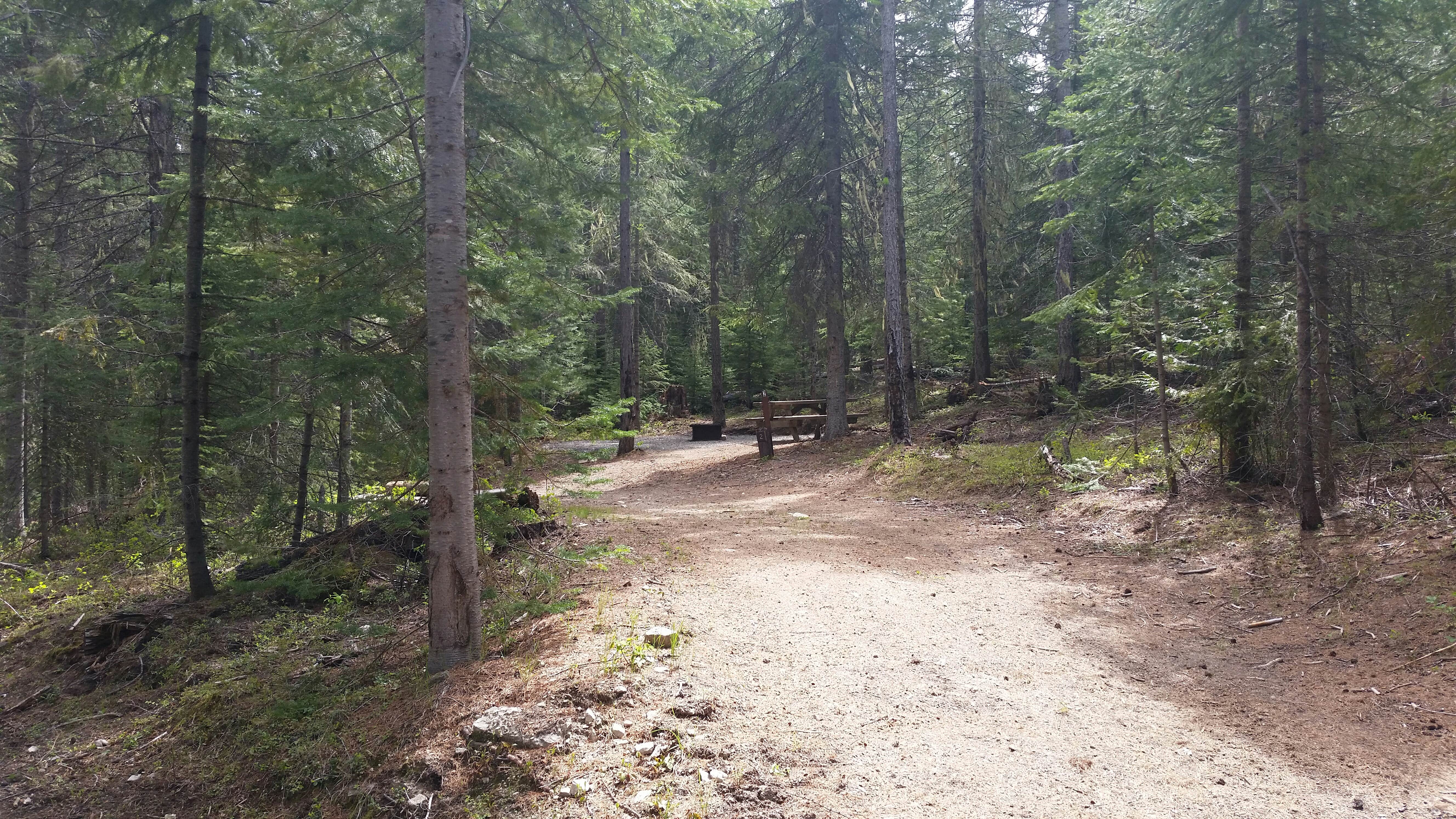 Camper submitted image from Flodelle Creek Campground - 5