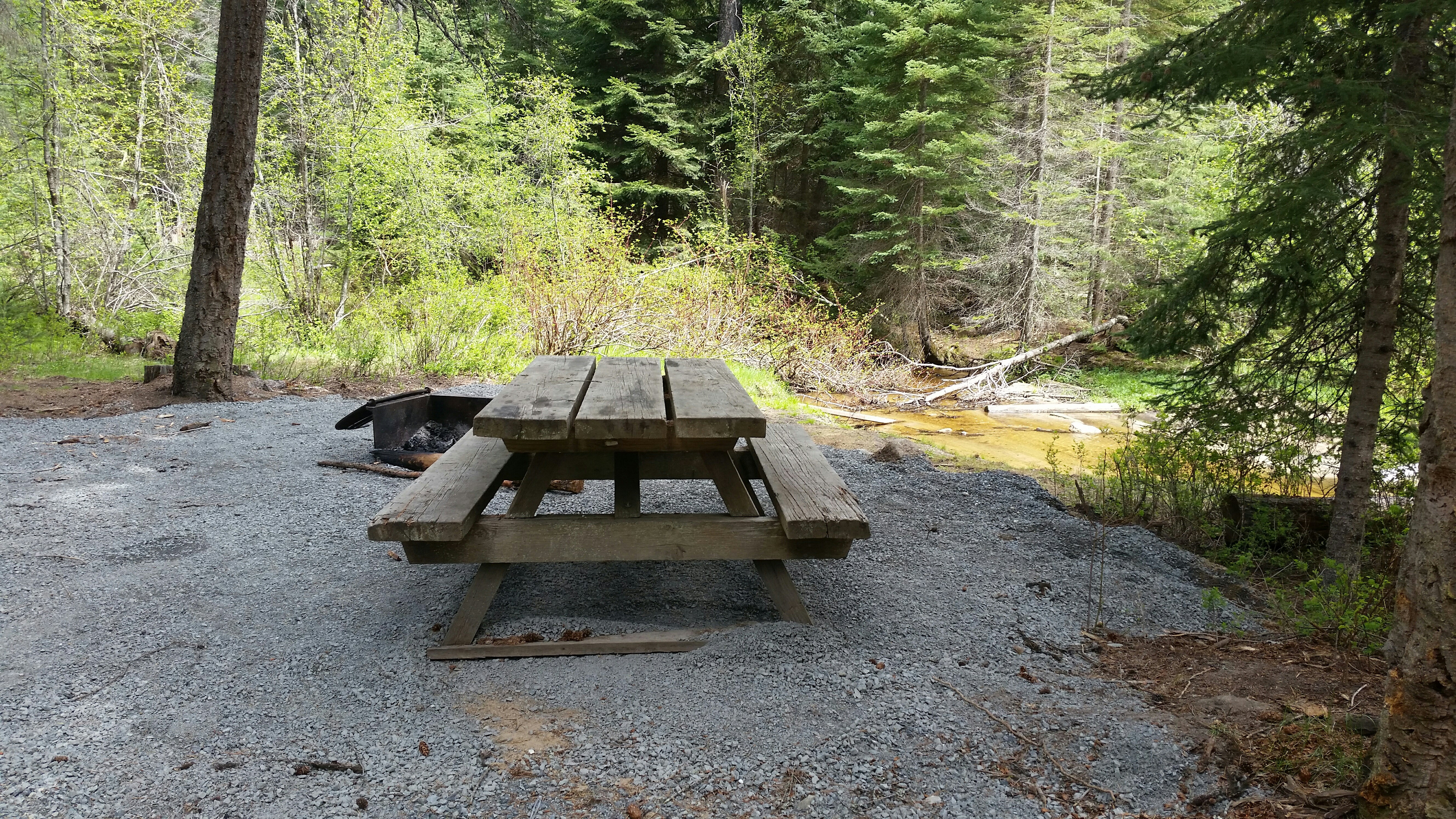 Camper submitted image from Flodelle Creek Campground - 3