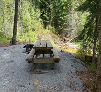 Camper-submitted photo from Flodelle Creek Campground