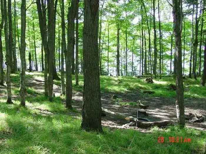 Camper-submitted photo at Sylvania Wilderness Backcountry Camping near Minocqua, WI
