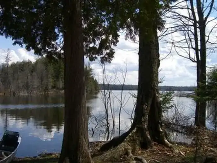 Camper-submitted photo at Sylvania Wilderness Backcountry Camping near Minocqua, WI