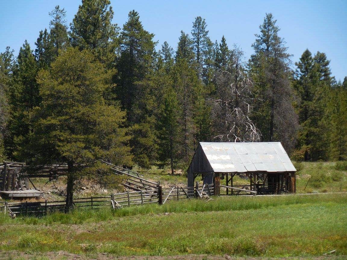 Camper submitted image from North Fork John Day - 5