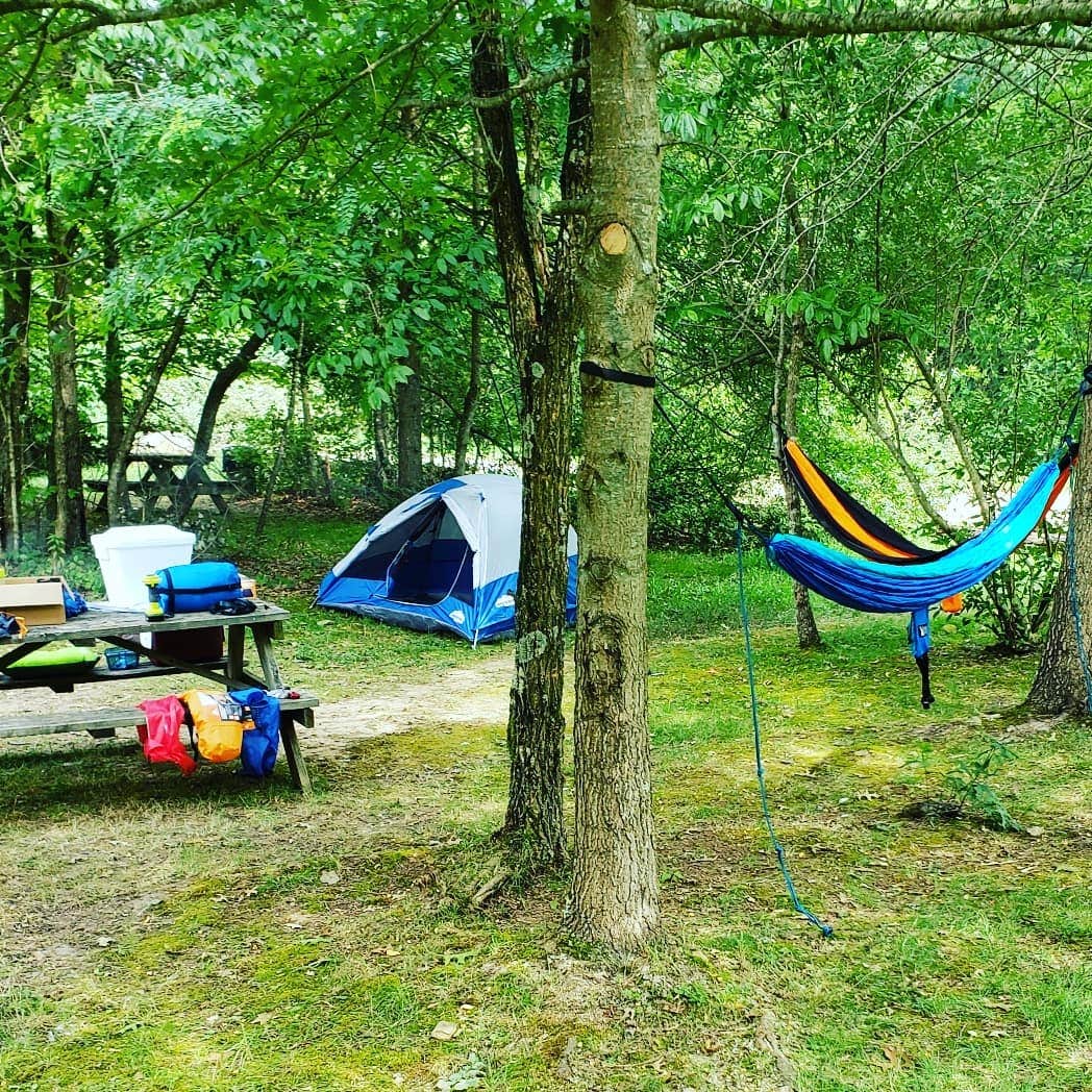 Camper submitted image from Ace Adventure Resort - 3
