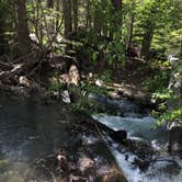 Review photo of Fallen Leaf Campground - South Lake Tahoe by Suzy R., August 27, 2019