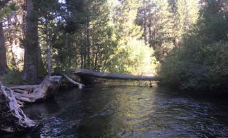 Camping near Junction Campground: Moraine Overflow Campground, Lee Vining, California