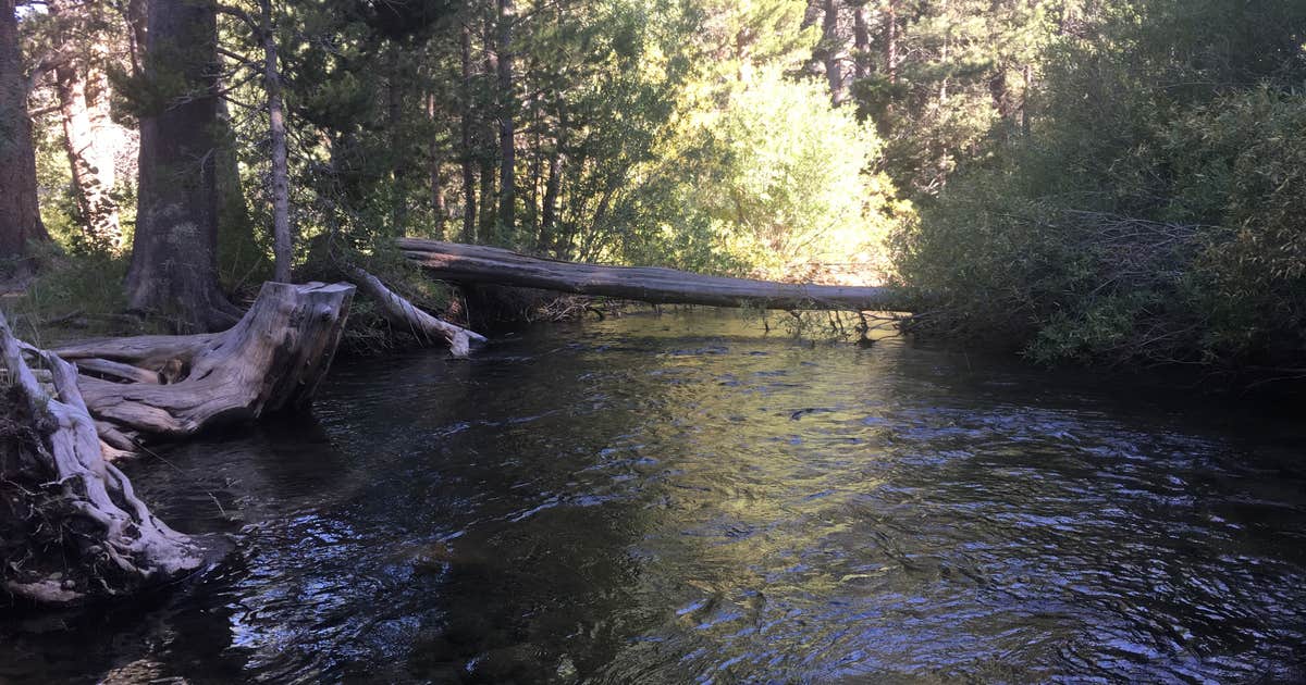 Moraine Overflow Campground